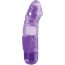 Фиолетовый вибромассажёр JELLY JOY 6INCH 10 RHYTHMS - 15 см.  Цена 2 638 руб. - Фиолетовый вибромассажёр JELLY JOY 6INCH 10 RHYTHMS - 15 см.