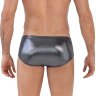 Серебристые трусы-брифы Chakra Latin Brief