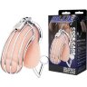 Серебристая металлическая клетка с анальным стимулятором Cock Cage