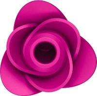 Ярко-розовый вакуум-волновой стимулятор Pro 2 Modern Blossom