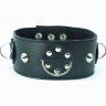 Чёрный кожаный ошейник с кольцами и клёпками