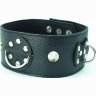 Чёрный кожаный ошейник с кольцами и клёпками