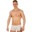 Мужские трусы-хипсы из ткани с текстурой змеиной чешуи Snake White Boxer - Мужские трусы-хипсы из ткани с текстурой змеиной чешуи Snake White Boxer