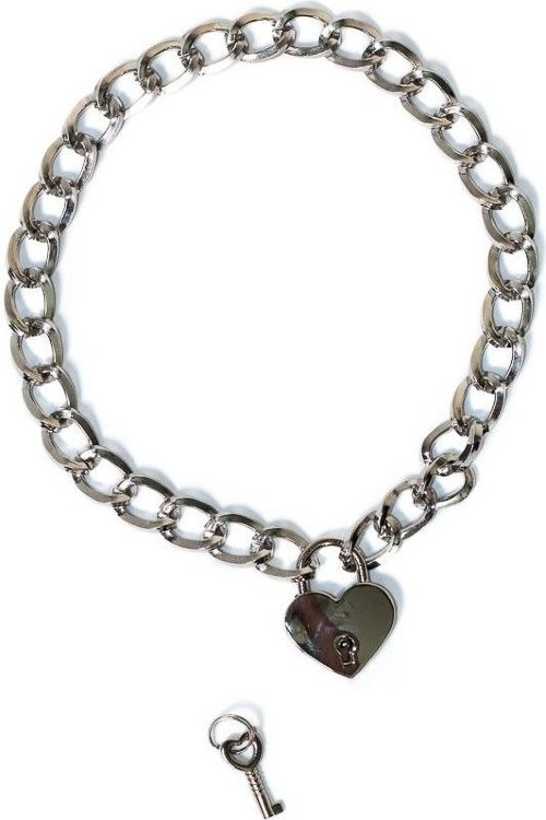 Серебристый ошейник Embrace с ключиком