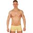 Мужские трусы-хипсы из ткани с текстурой змеиной чешуи Snake Yellow Boxer - Мужские трусы-хипсы из ткани с текстурой змеиной чешуи Snake Yellow Boxer
