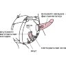 Женский пояс-трусики c 2 насадками и вагинальной пробкой