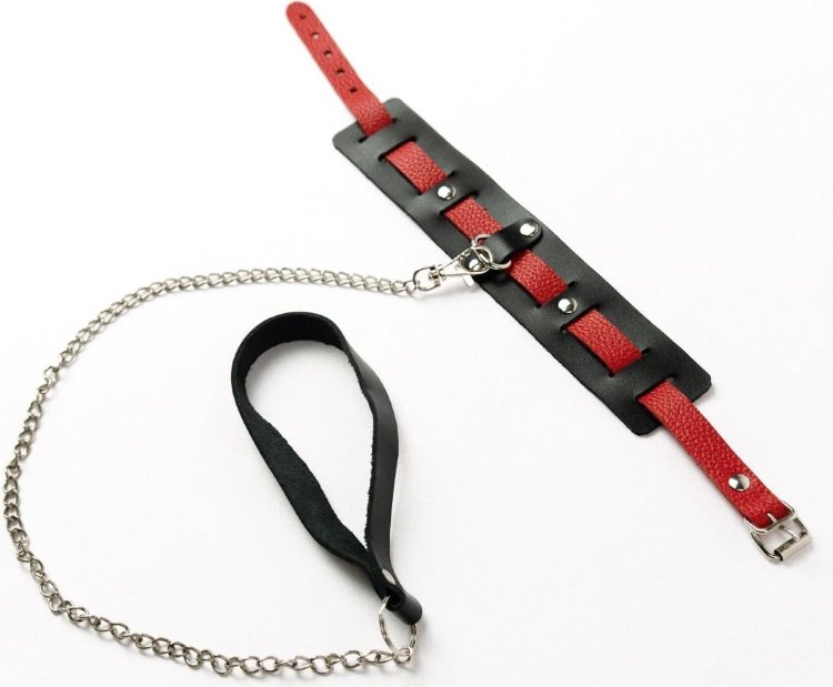 Черный ошейник с красным ремешком и поводком