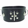 Черный кожаный ошейник с короткими шипами