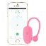 Подарочный набор: розовый тренажер Кегеля Magic Kegel Coach и фиолетовые менструальные чаши - Подарочный набор: розовый тренажер Кегеля Magic Kegel Coach и фиолетовые менструальные чаши