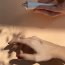 Лубрикант на водной основе Slow Sex Anal Play Gel - 30 мл. - Лубрикант на водной основе Slow Sex Anal Play Gel - 30 мл.