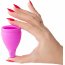 Розовая менструальная чаша Amphora S - Розовая менструальная чаша Amphora S