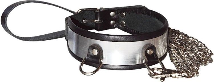 Стильный ошейник с металлическим блеском и поводком