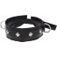 Полиуретановый ошейник с пуклями и D-кольцами Collar with Studs - Полиуретановый ошейник с пуклями и D-кольцами Collar with Studs
