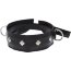 Полиуретановый ошейник с пуклями и D-кольцами Collar with Studs  Цена 2 107 руб. - Полиуретановый ошейник с пуклями и D-кольцами Collar with Studs