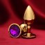 Золотистая анальная пробка с фиолетовым кристаллом  Цена 783 руб. - Золотистая анальная пробка с фиолетовым кристаллом