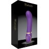 Фиолетовый вибромассажёр G-Spot Vibrator