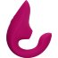 Малиновый клиторальный стимулятор Womanizer Blend  Цена 25 394 руб. - Малиновый клиторальный стимулятор Womanizer Blend