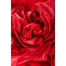 Красная простыня для секса из ПВХ - 220 х 200 см.