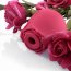 Красный вакуумный стимулятор Rose - Красный вакуумный стимулятор Rose