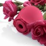 Красный вакуумный стимулятор Rose