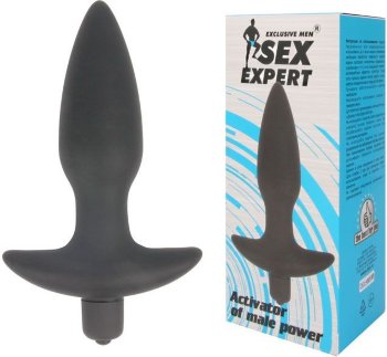 Анальная пробка Sex Expert с вибрацией - 10,5 см.