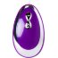 Фиолетовое виброяйцо A-Toys - 6,5 см.  Цена 2 372 руб. - Фиолетовое виброяйцо A-Toys - 6,5 см.