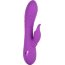 Фиолетовый вибратор-кролик Valley Vamp - 21,5 см.  Цена 12 183 руб. - Фиолетовый вибратор-кролик Valley Vamp - 21,5 см.