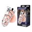 Серебристая металлическая клетка для члена с замком Enslave Cock Cage - Серебристая металлическая клетка для члена с замком Enslave Cock Cage