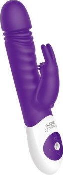 Фиолетовый вибратор-кролик The Sonic Rabbit - 22 см.