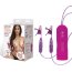 Многоскоскоростные виброзажимы для сосков Remote Control Vibrating Nipple Clips  Цена 13 345 руб. - Многоскоскоростные виброзажимы для сосков Remote Control Vibrating Nipple Clips