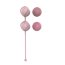 Набор из 4 розовых вагинальных шариков Valkyrie  Цена 1 745 руб. - Набор из 4 розовых вагинальных шариков Valkyrie