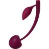 Бордовая вагинальная вишенка WILD CHERRY - 13 см.