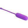 Фиолетовое перезаряжаемое виброяйцо Joyce