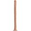 Телесный фаллоимитатор 19 Inch Long Realistic Dildo - 48,3 см. - Телесный фаллоимитатор 19 Inch Long Realistic Dildo - 48,3 см.