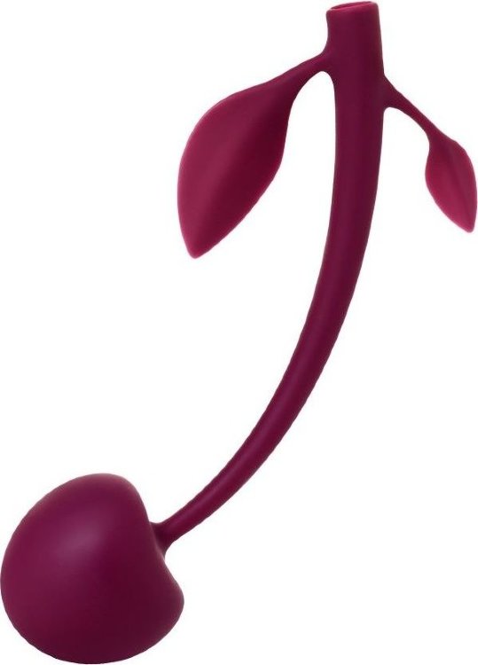 Бордовая вагинальная вишенка WILD CHERRY - 14,5 см.