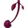 Бордовая вагинальная вишенка WILD CHERRY - 14,5 см.