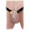 Кольцо верности Extreme Chastity Belt с фиксацией головки