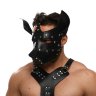Черная кожаная маска «Собака»