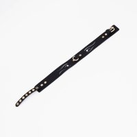 Черный кожаный ошейник с золотистой фурнитурой