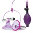 Вибропомпы для сосков Vibrating Nipple Suckers with Quick Release  Цена 12 027 руб. - Вибропомпы для сосков Vibrating Nipple Suckers with Quick Release