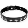 Черный ошейник с серебристыми ромбиками
