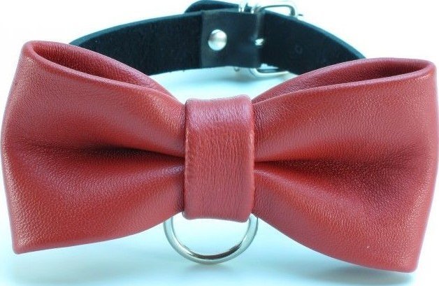 Эффектный ошейник с бабочкой