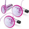 Фиолетовая вибропомпа для клитора и сосков Vibrating Nipple Suckers with Clitoral Pump and Quick Release